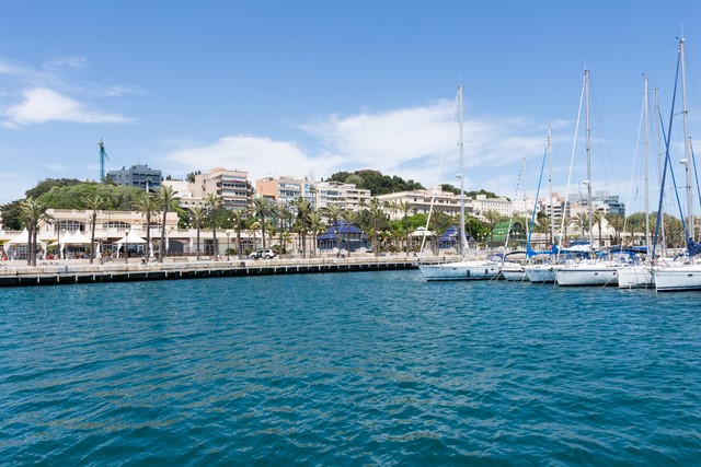 cartagene